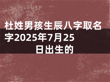 杜姓男孩生辰八字取名字2025年7月25日出生的