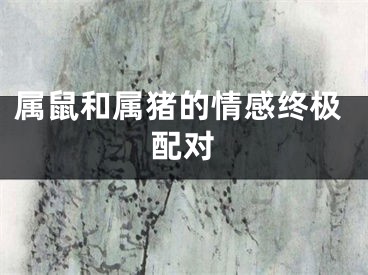 属鼠和属猪的情感终极配对