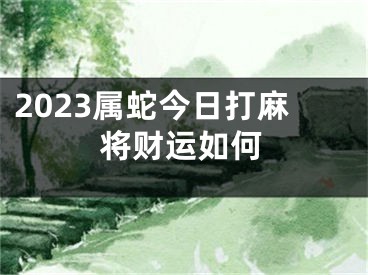 2023属蛇今日打麻将财运如何