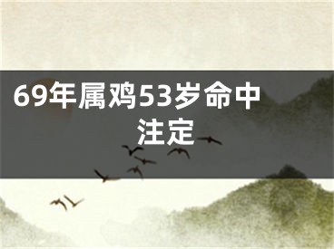 69年属鸡53岁命中注定