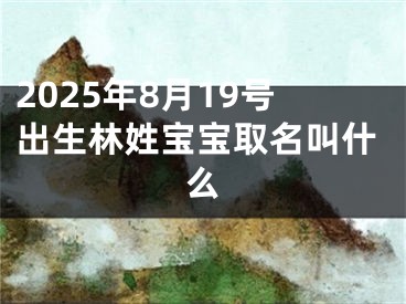 2025年8月19号出生林姓宝宝取名叫什么