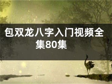 包双龙八字入门视频全集80集