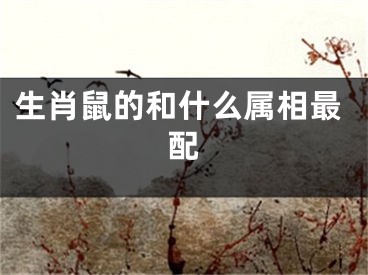 生肖鼠的和什么属相最配