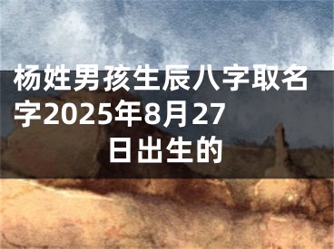 杨姓男孩生辰八字取名字2025年8月27日出生的