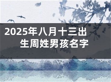 2025年八月十三出生周姓男孩名字