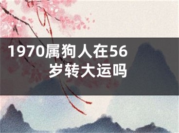 1970属狗人在56岁转大运吗