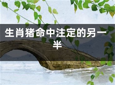 生肖猪命中注定的另一半