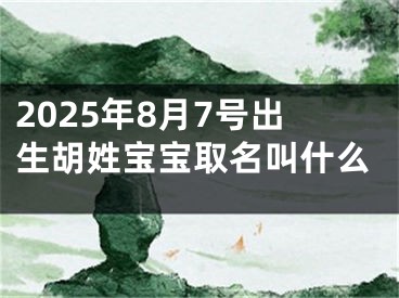 2025年8月7号出生胡姓宝宝取名叫什么