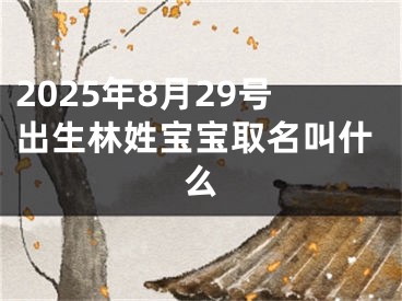 2025年8月29号出生林姓宝宝取名叫什么