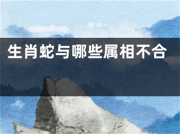 生肖蛇与哪些属相不合 