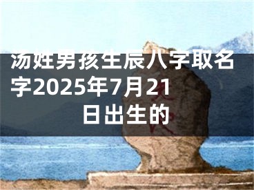 汤姓男孩生辰八字取名字2025年7月21日出生的
