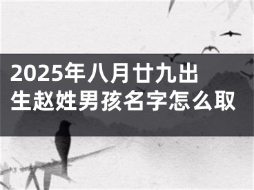 2025年八月廿九出生赵姓男孩名字怎么取