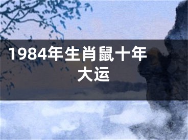 1984年生肖鼠十年大运