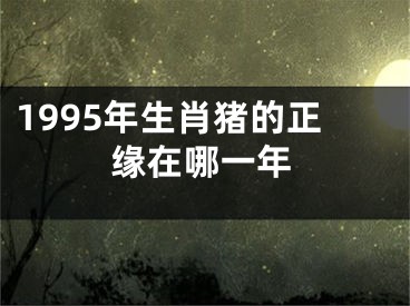 1995年生肖猪的正缘在哪一年