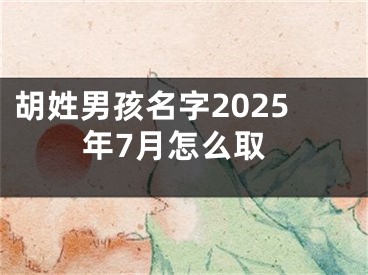 胡姓男孩名字2025年7月怎么取