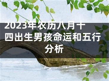 2023年农历八月十四出生男孩命运和五行分析