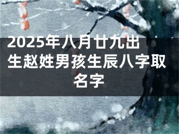 2025年八月廿九出生赵姓男孩生辰八字取名字