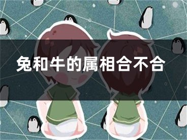 兔和牛的属相合不合
