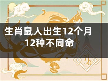 生肖鼠人出生12个月12种不同命