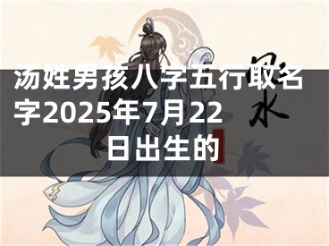 汤姓男孩八字五行取名字2025年7月22日出生的