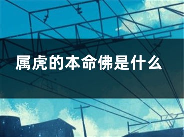 属虎的本命佛是什么