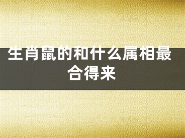 生肖鼠的和什么属相最合得来