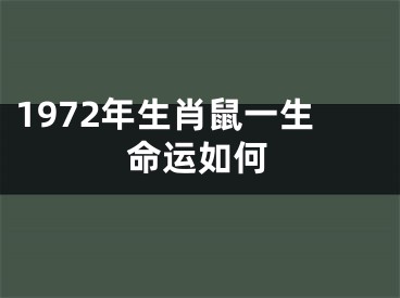 1972年生肖鼠一生命运如何