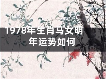 1978年生肖马女明年运势如何