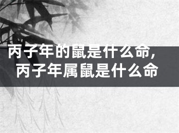 丙子年的鼠是什么命,丙子年属鼠是什么命