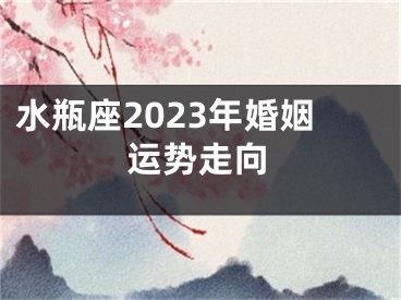 水瓶座2023年婚姻运势走向