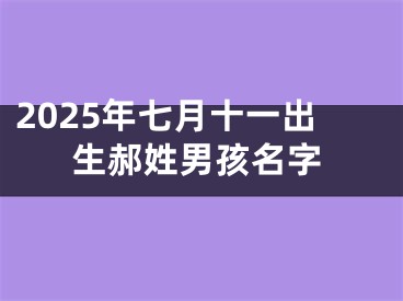 2025年七月十一出生郝姓男孩名字