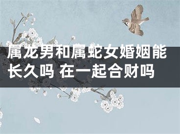 属龙男和属蛇女婚姻能长久吗 在一起合财吗