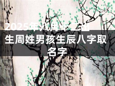 2025年八月十二出生周姓男孩生辰八字取名字