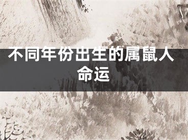 不同年份出生的属鼠人命运