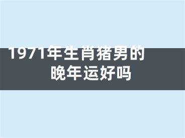 1971年生肖猪男的晚年运好吗