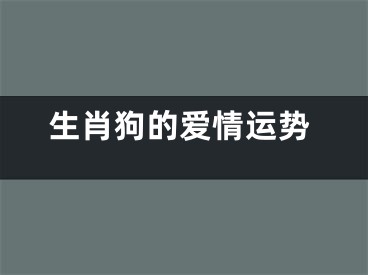 生肖狗的爱情运势