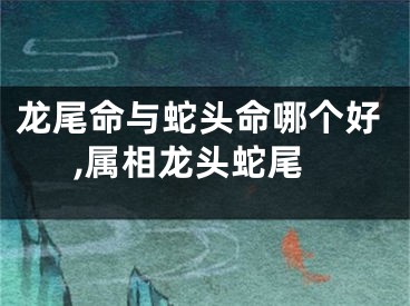 龙尾命与蛇头命哪个好,属相龙头蛇尾