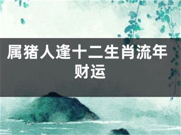 属猪人逢十二生肖流年财运
