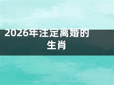 2026年注定离婚的生肖