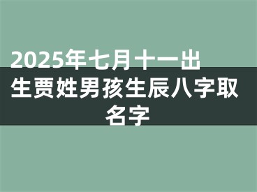 2025年七月十一出生贾姓男孩生辰八字取名字