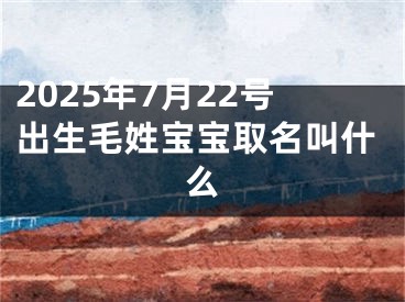 2025年7月22号出生毛姓宝宝取名叫什么