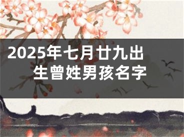 2025年七月廿九出生曾姓男孩名字