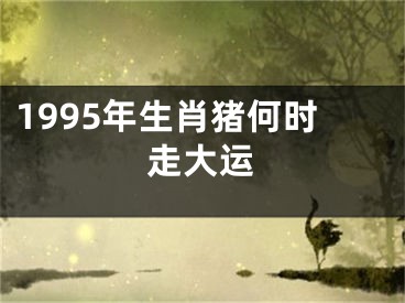 1995年生肖猪何时走大运