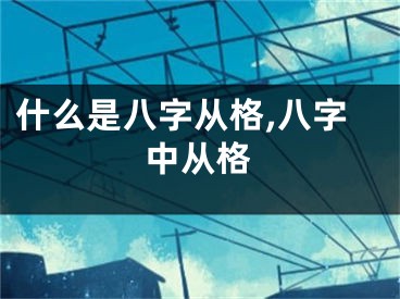 什么是八字从格,八字中从格