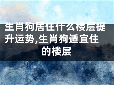 生肖狗居住什么楼层提升运势,生肖狗适宜住的楼层
