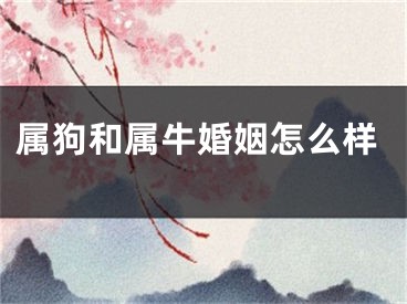 属狗和属牛婚姻怎么样