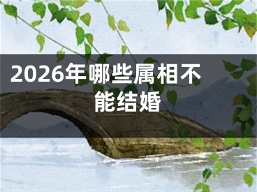 2026年哪些属相不能结婚