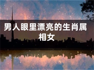 男人眼里漂亮的生肖属相女