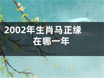 2002年生肖马正缘在哪一年
