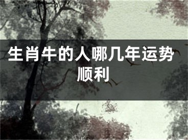 生肖牛的人哪几年运势顺利